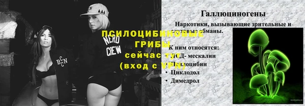 СК Алексеевка