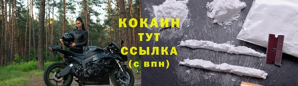 соль ск Алексин