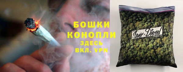 дурь Алзамай