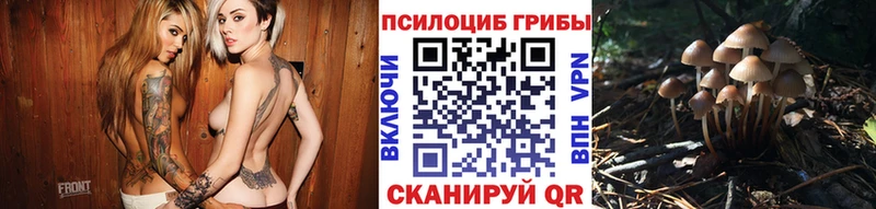 Галлюциногенные грибы GOLDEN TEACHER Орск